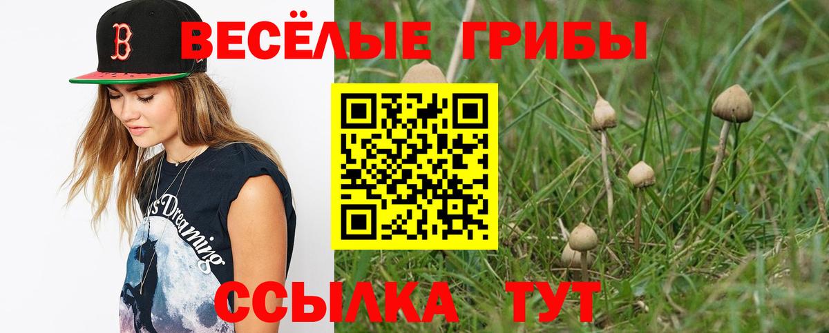 Псилоцибиновые грибы Psilocybine cubensis  Галлюциногенные грибы мухоморы  Югорск  Вход с VPN 