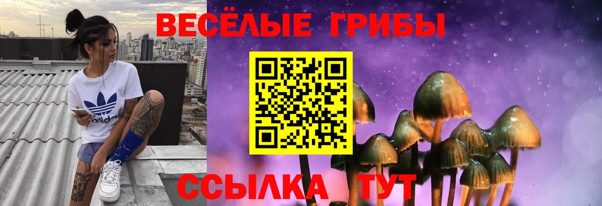 Псилоцибиновые грибы Magic Shrooms Югорск